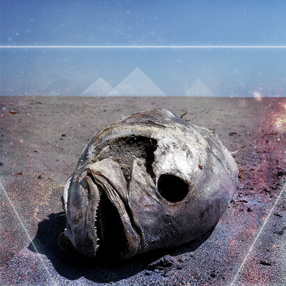 Brain-Fish